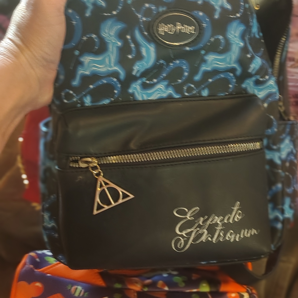 Warner Bros. Black and Blue Backpack